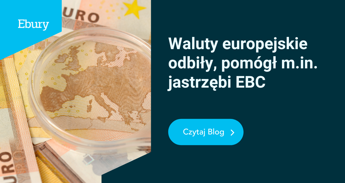 Waluty europejskie odbiły, pomógł m.in. jastrzębi EBC
